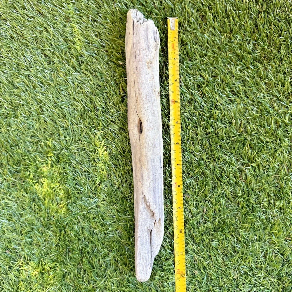 2 Natural Driftwood Pieces California Coast Rustic Beach Decor Aquarium Art